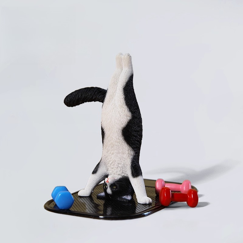 1/6 스케일 미니 시뮬레이션 피트니스 고양이 요가 동 - Kids Yoga Toys 리뷰 및 가격
